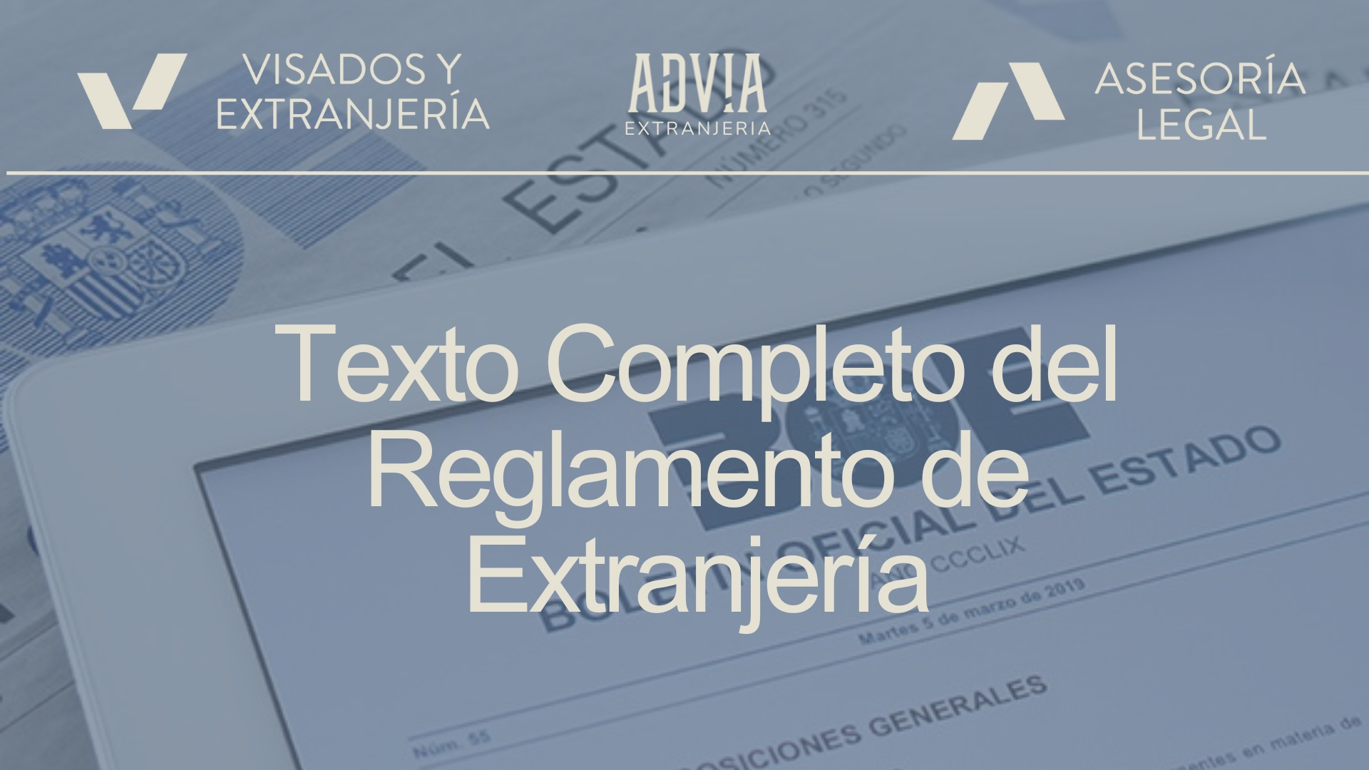 Lee más sobre el artículo Texto completo del Reglamento de Extranjería